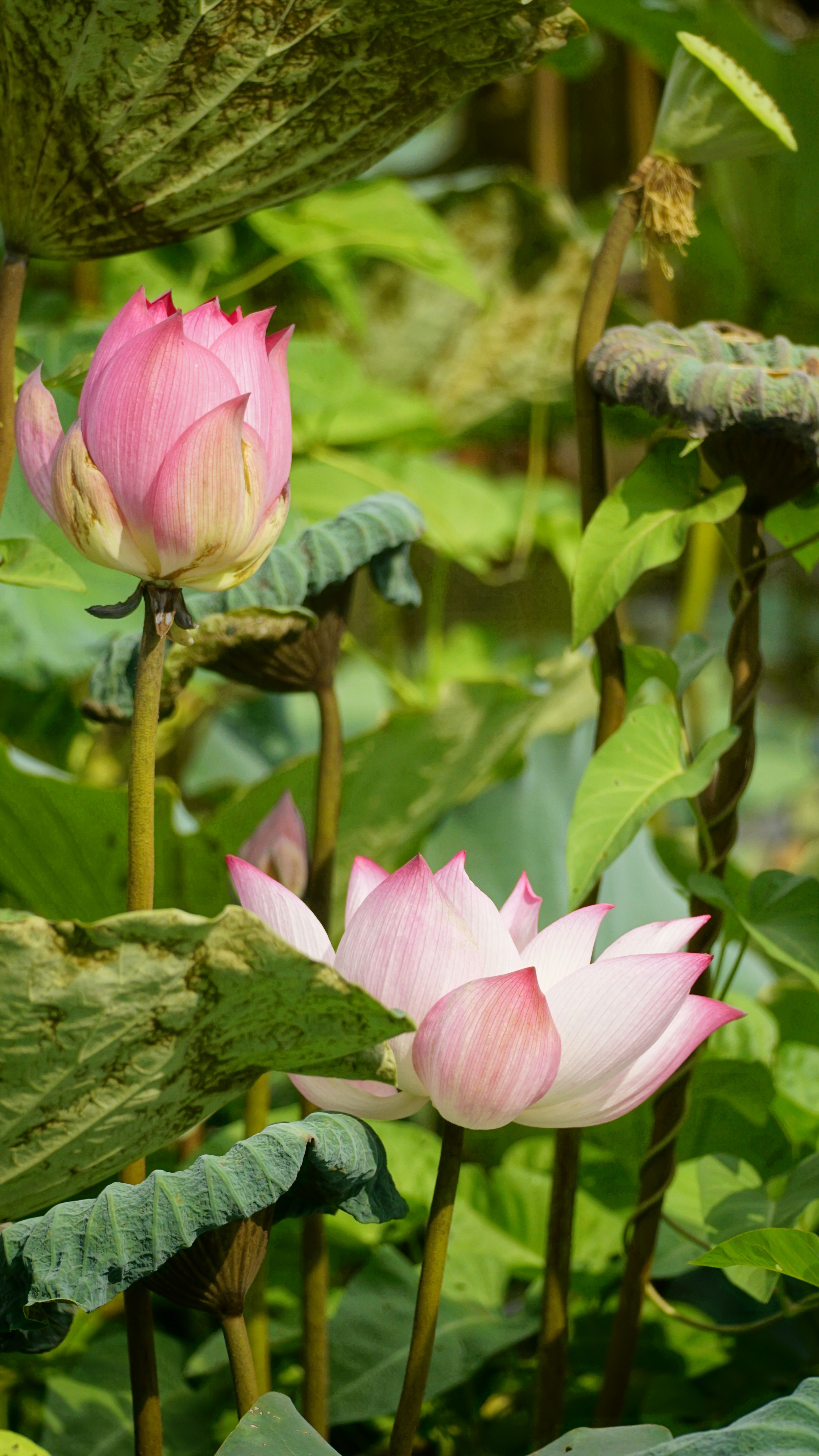Rộng lòng với thay đổi