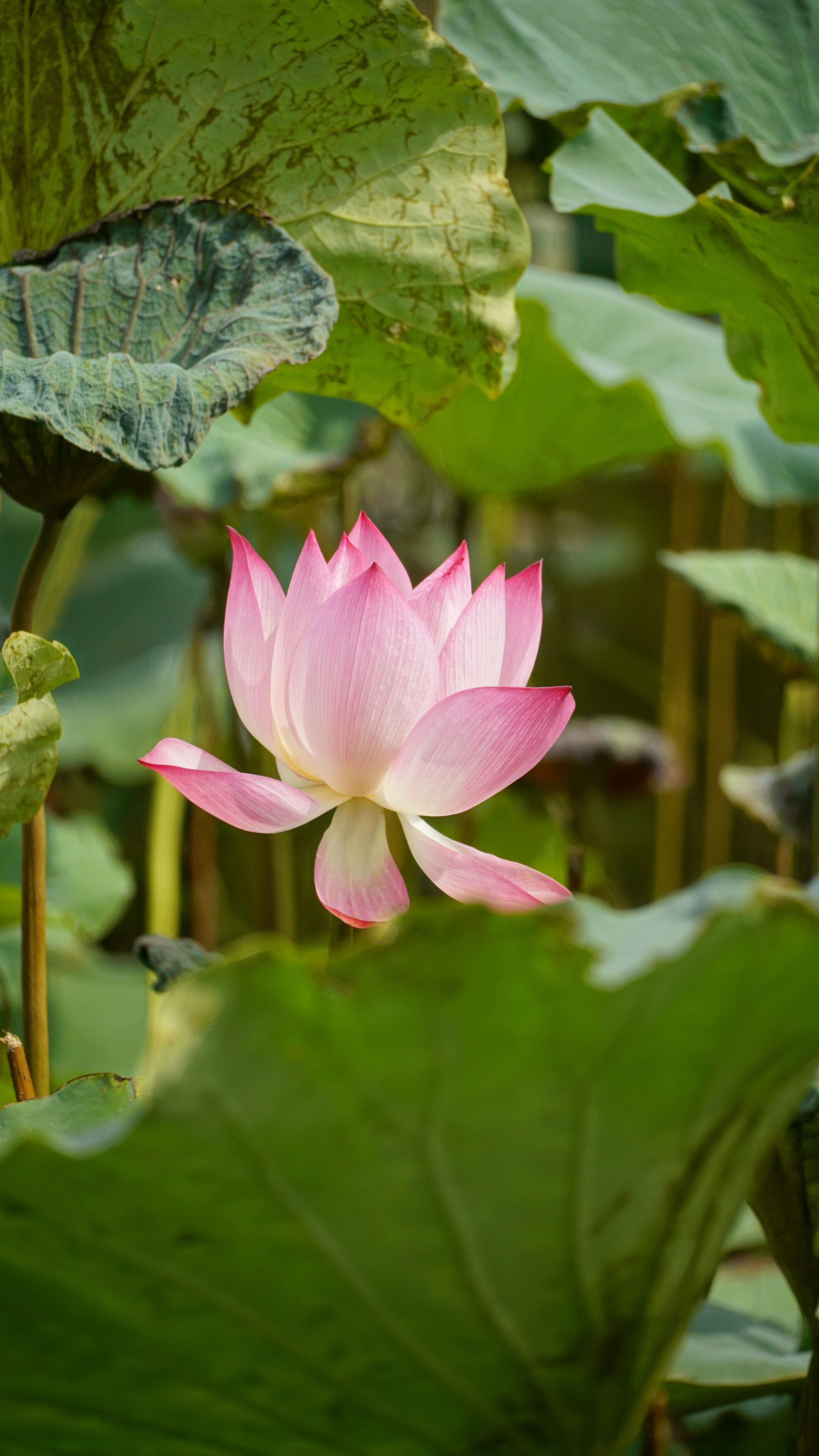 Thoát khỏi quá khứ