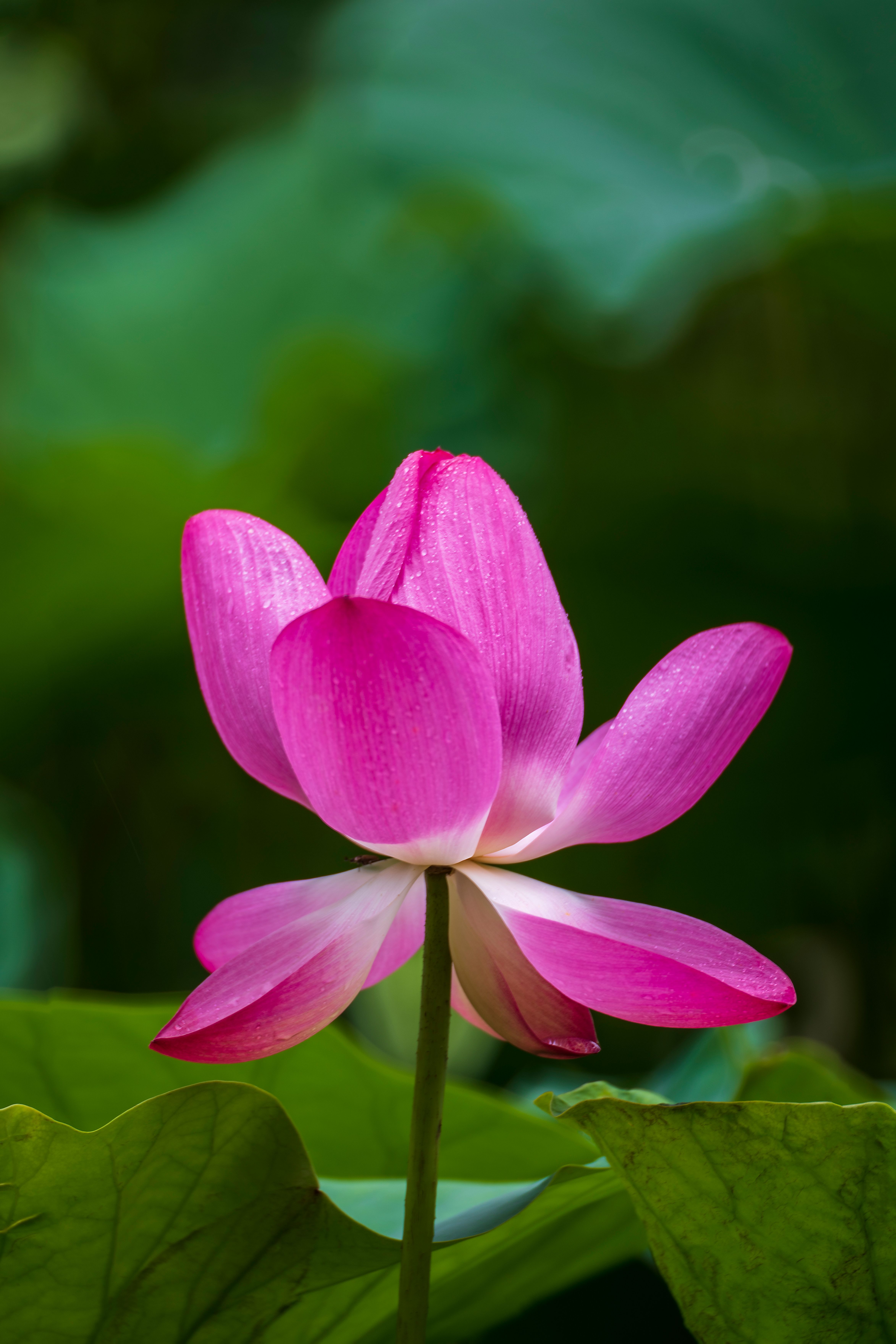 Trải nghiệm pháp thế gian